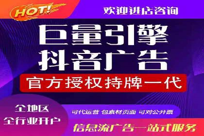 SEM广告创意与执行：成功案例分享